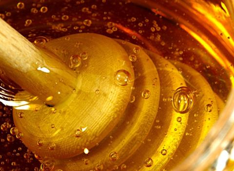 Agriazienda Bocca | nutrizionista