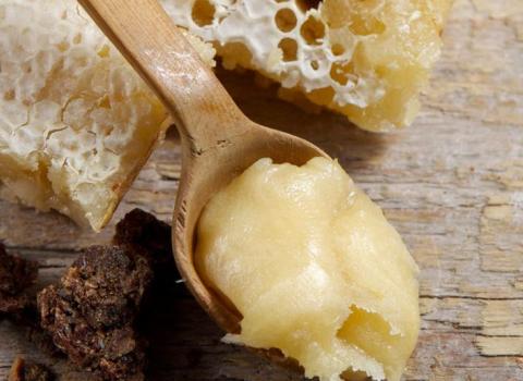 Agriazienda Bocca | nutrizionista